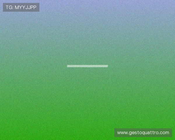 突尼斯队与荷兰队世界杯比赛签证申请流程详细说明及注意事项